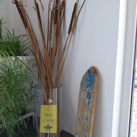 R' Du Large Maison Spacieuse 2 Mn De La Torche 庞马尔
